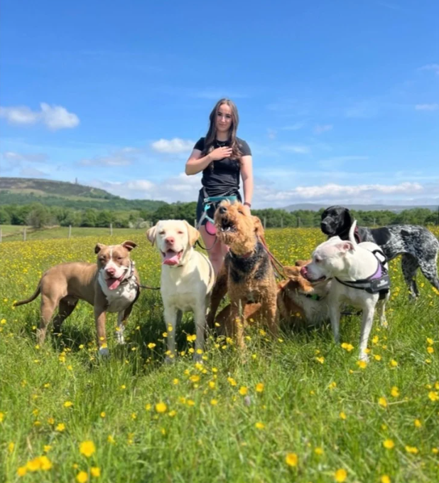 Caitlin walking with dogs